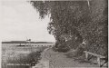 Björboholm. Strandparti. Daterat 4 augusti 1946. Pressbyrån19708