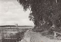 Björboholm. Strandparti. Postgånget 10 juli 1959. Pressbyrån 77292