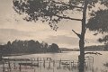 Parti vid Björboholm. Postgånget 11 juli 1909. J.E. Lindquist Vykortsförlag, Björboholm