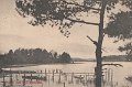Parti vid Björboholm. Postgånget 21 juli 1910. J.E. Lindquist Vykortsförlag, Björboholm