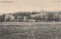Villor vid Björboholm. Postgånget 28 januari 1911. J. Erikson, Gråbo