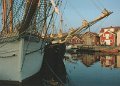 Västkustvyer. Hälsning från Orust - Skutor i Mollösund