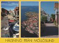 Hälsning från Mollösund. Odaterat. Carlaförlaget AB. R4260