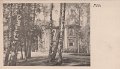 Nääs. Odaterat. 3571