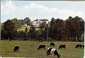 Nääs Slott. Byggt på 1500-talet och renoverat under 1750-talet. Postgånget 14 augusti 1975. Copyright Lindenhags, Göteborg. Foto Alf Bokgren. 91 2