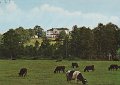Nääs Slott. Odaterat. Copyright Lindenhag, Göteborg. Foto Alf Bokgren. 91 2