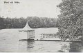 Parti vid Nääs. Postgånget 12 augusti 1910