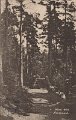 Motiv från Norsesund. Postgånget 16 augusti 1928. Förlag J, A, Hansson, Norsesund