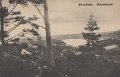 Paradiset. Norsesund. Postgånget 8 augusti 1910. Förlag Björklund  Andersson, Norsesund