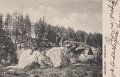 Skogsparti. Norsesund. Postgånget 71 juli 1905
