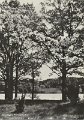 Sävelången, Västergötland. Ekudden i bakgrunden. Postgånget 3 maj 1959