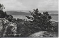 Sjövik. Utsikt från Vålåsberget. Odaterat. Bröderna Erikson, Sjövik.Äkta Foto C.A. Träff, Göteborg 627