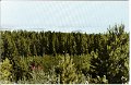 Utsikt över Sjön Mjörn. Kärleksstigen, Sjövik. Odaterat. Copyright S. Olsson, Sjövik, Sweden