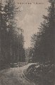 Skogspromenad. V. Bodarne. Postgånget 6 juli 1913