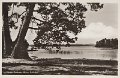 Västra Bodarna. Mjörn, Gallviken. Postgånget 19 maj 1952. Förlag Claes Nygren, V a Bodarna