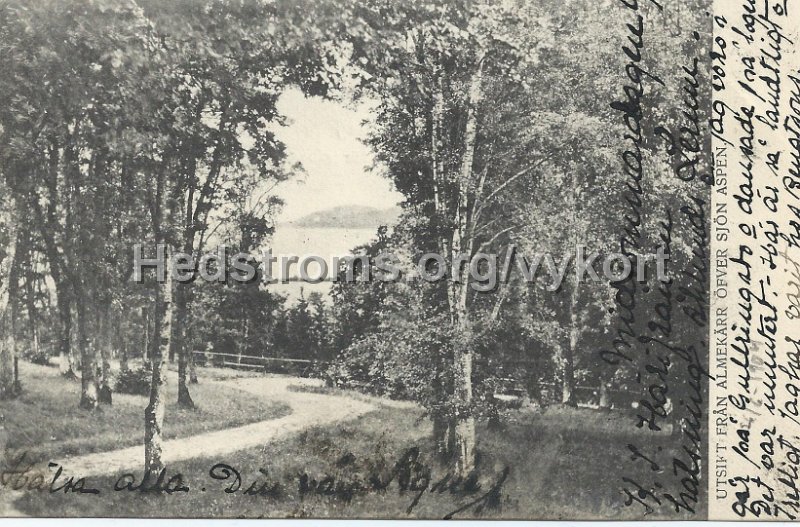 Utsikt fran Almekarr ofver sjon Aspen. Postganget midsommardagen 1904.jpeg - Utsikt från Almekärr öfver sjön Aspen.Postgånget midsommardagen 1904.j