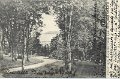 Utsikt fran Almekarr ofver sjon Aspen. Postganget midsommardagen 1904
