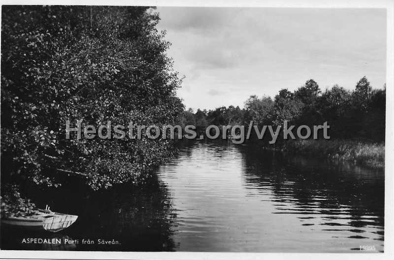 Aspedalen. Parti fran Savean. Odaterat. Svenska Pressbyran 19395.jpeg - Aspedalen. Parti från Säveån.Odaterat.Svenska Pressbyrån 19395.