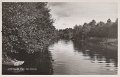Aspedalen. Parti fran Savean. Postganget 28 december. A. B. Alga, Stockholm 19395