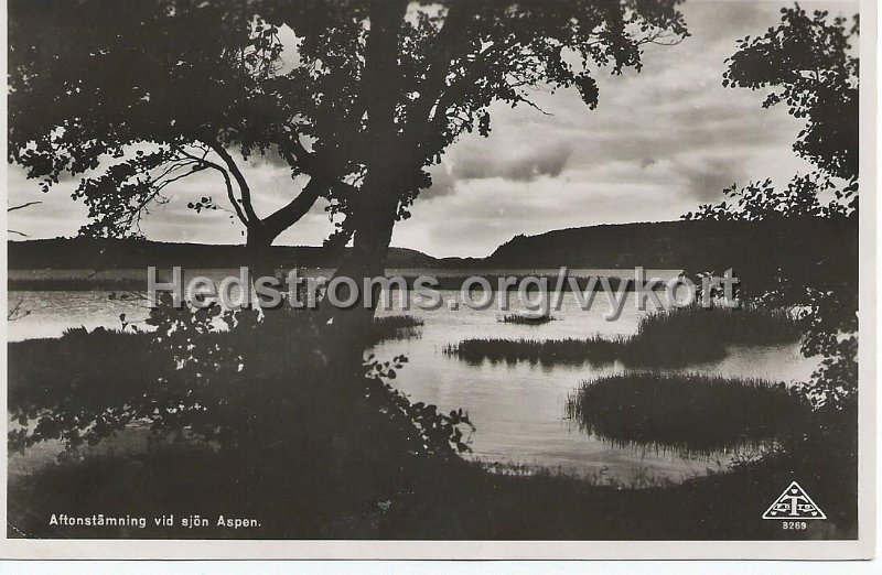 Aftonstamning vid sjon Aspen. Postganget 9 juli 1949. Forlag Jonsereds Kiosk. C.A. Traff 3269.jpeg - Aftonstämning vid sjön Aspen.Från strandkanten ungefär vid Aspenäskyrkan.Postgånget 9 juli 1949.Förlag: Jonsereds Kiosk och C.A. Träff 8268.