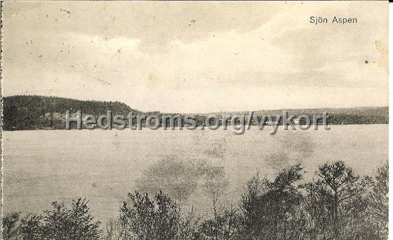 Sjon Aspen. Postganget 11 juli 1928. Forlag Einar Eriksson, Alingsas.jpg - Sjön Aspen.Vy från Jonseredsvägen någonstans mot Aspenäsgården.Postgånget 11 juli 1928.Förlag: Einar Eriksson, Alingsås, Import.