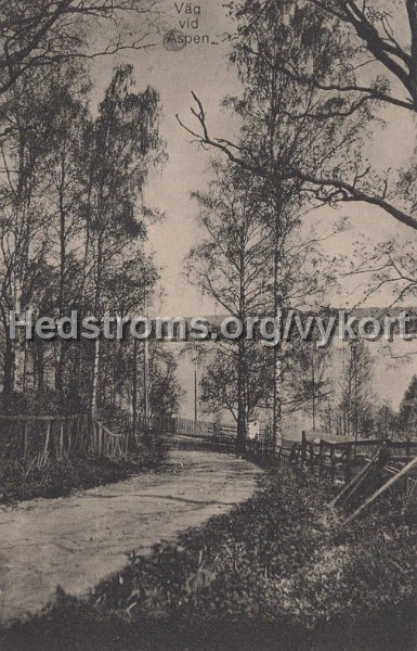 Vag vid Aspen. Odaterat. Einar Erikson, Alingsas, Import.jpg - Väg vid Aspen.Odaterat.Einar Erikson, Alingsås, Import.