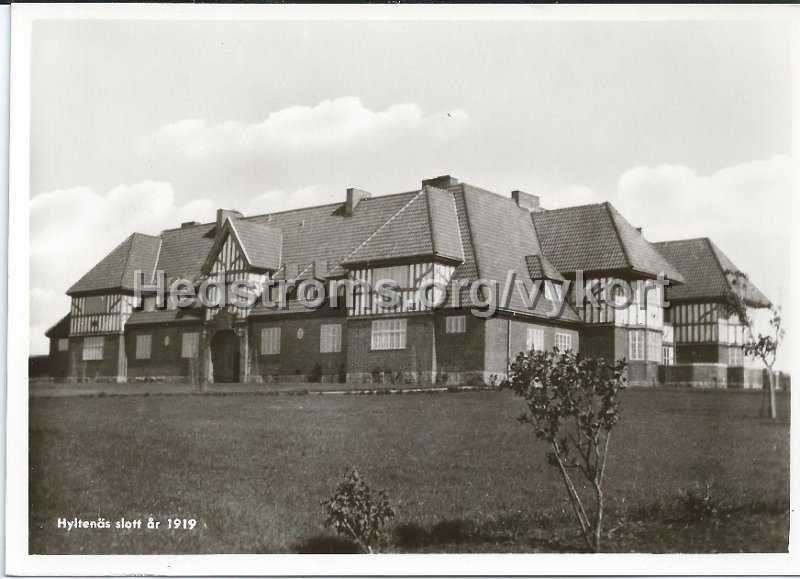 Hyltenas slott ar 1919.jpeg - Hyltenäs slott år 1919.Hyltenäs slott byggdes 1915-1916 av grosshandl. George Seaton, Göteborg. Slottet hade 125 rum, egen elektrisk kraftstation, centralvärme och badrum. Slottet nedbrann 17 dec. 1923.Odaterat.Förlag: Eric Börjesons Fotoaffär, Horred.