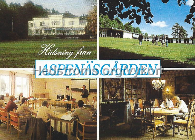 Halsning fran Aspenasgarden. Odaterat. Aspenasgarden, tel 030210168. Foto Bjorn Breitholtz.jpeg - Hälsning från Aspenäsgården.Aspensägården, tel 0302/101 68. Foto: Björn Breitholtz.Odaterat.