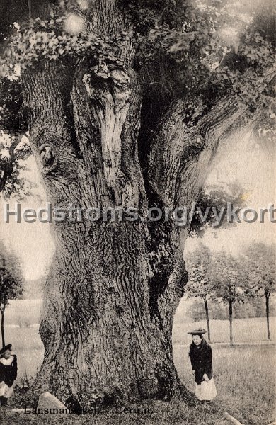 Lansmanseken.  Lerum. Odaterat. Farlag Jac. Hægerstrom, Lerum.jpg - Länsmanseken. Lerum.Postgånget 1907.Carl Brobäcks förlag.