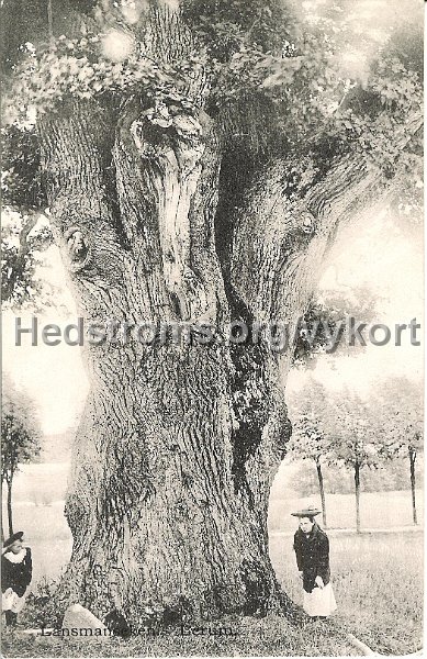 Lansmanseken. Lerum. Postganget 26 augusti 1912. Forlag Jac. Hægerstrom, Lerum.jpg - Länsmanseken. Lerum.Daterat 26 aug 1912Förlag: Jac. Hægerström, Lerum.