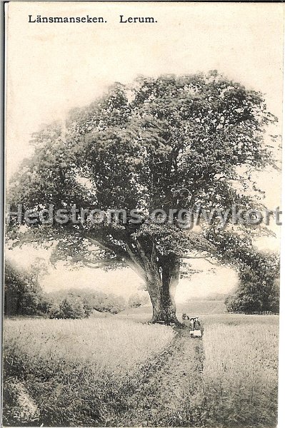 Lansmanseken. Lerum. Postganget 28 januari 1909. Forlag Jac. Hægerstrom, Lerum.jpg - Länsmanseken. Lerum.Postgånget 28 jan 1909.Förlag: Jac. Hægerström, Lerum.