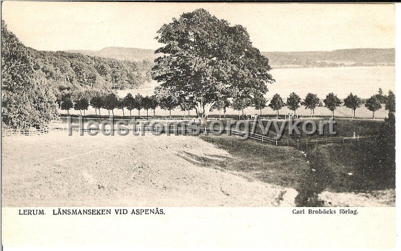 Lerum. Lansmanseken vid Aspenas. Odaterat. Carl Brobacks forlag.jpg - Lerum. Länsmanseken vid Aspenäs.Odaterat.Carl Brobäcks förlag.