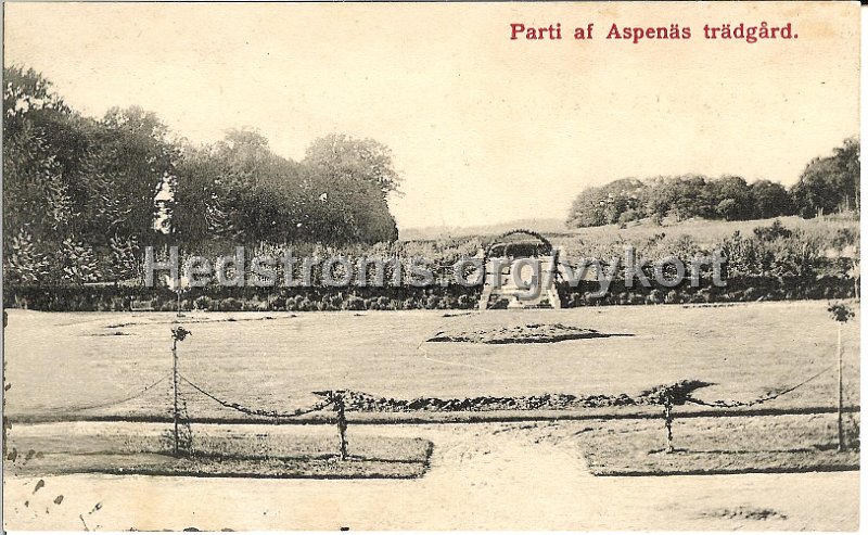 Parti af Aspenas tradgard. Postganget  10 september.jpg - Parti af Aspenäs trädgård.RosengårdenPostgånget 10 sept  19xx.