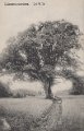 Lansmanseken. Lerum. Postganget 21 augusti 1908,. Forlag Jac. Hægerstrom, lerum