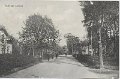 Parti av Lerum. Postganget 26 juli 1916