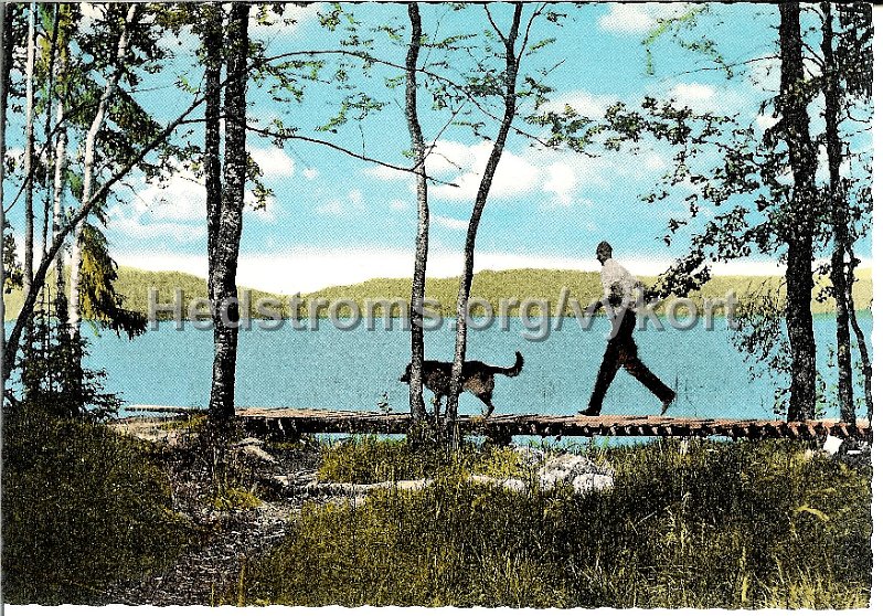 Harskogens Friluftsgard, Lerum. Odaterat.  Forlag  ensamratt A B H. Lindenhag, Goteborg. n r S 285.jpg - Härskogens Friluftsgård.Odaterat.Förlag & ensamrätt: A/B H. Lindenhag, Göteborg. n:r S285.