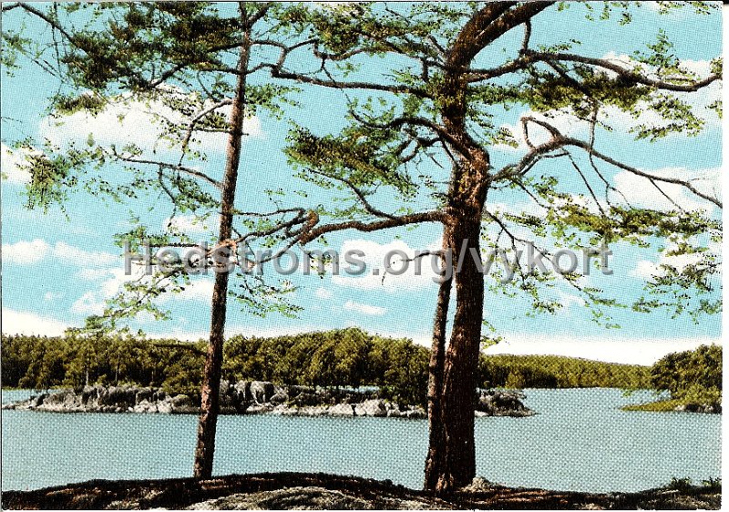 Harskogens Friluftsgard, Lerum. Odaterat. Forlag AB H. Lindenhag, Goteborg. NR. 9725.jpg - Härskogens Friluftsgård.Odaterat.Förlag: AB H. Lindenhag, Göteborg. NR 9725.