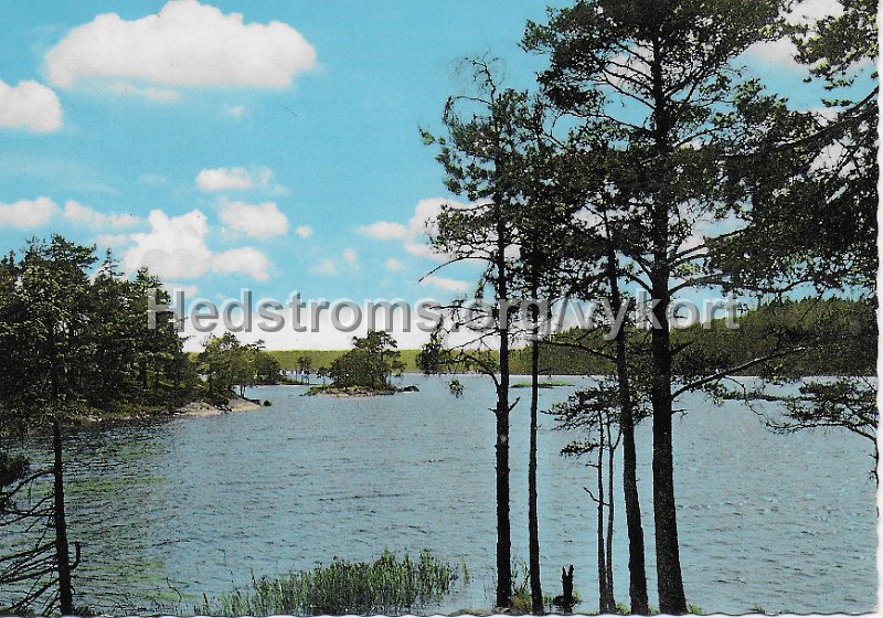 Harskogens Friluftsgard, Lerum. Postganget. Forlag ensamratt A B H. Lindenhag, Goteborg. n r S 286.jpeg - Härskogens Friluftsgård, Lerum.Postgånget.Förlag & ensamrätt: A/B H. Lindenhag, Göteborg. n r S 286.