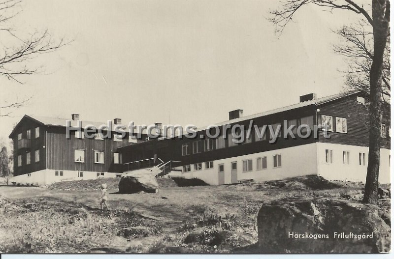 Harskogens Friluftsgard. Postganget 17 juni 1964. Foto Ralph M. Evers.jpeg - Härskogens FriluftsgårdPostgånget 17 jun 1964.Foto: Ralph M. Evers.