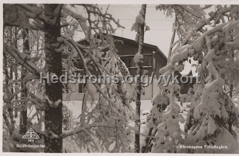 Harskogens Friluftsgard. Skidframjandet. Postganget 12 mars 144. Traff 3619.jpg - Härskogens Friluftsgård.Skidfrämjandet.Postgånget 12 mars 144.Träff 3619.