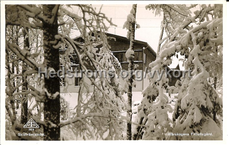 Skidframjandet, Harskogens Friluftsgard. Odaterat. Traff 3619.jpg - Skidfrämjandet. Härskogens Friluftsgård.Odaterat.Förlag Skidfrämjandet samt Träff 3619