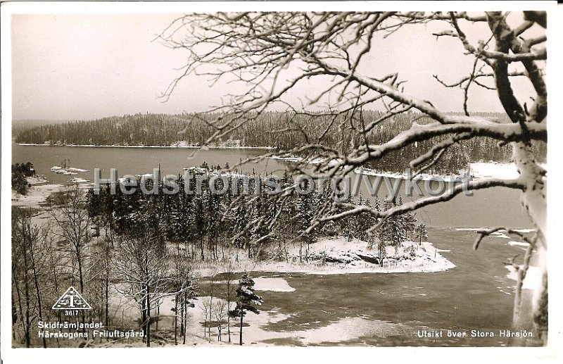 Skidframjandet, Harskogens Friluftsgard. Utsiktg over Stora Harsjon. Odaterat. Traff 3617.jpg - Utsikt över Stora Härsjön.Odaterat.Förlag: Skidfrämjandet, Härskogens Friluftsgården, Lerum samt Träff 3617. 