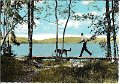 Harskogens Friluftsgard, Lerum. Odaterat.  Forlag  ensamratt A B H. Lindenhag, Goteborg. n r S 285