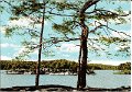 Harskogens Friluftsgard, Lerum. Odaterat. Forlag AB H. Lindenhag, Goteborg. NR. 9725