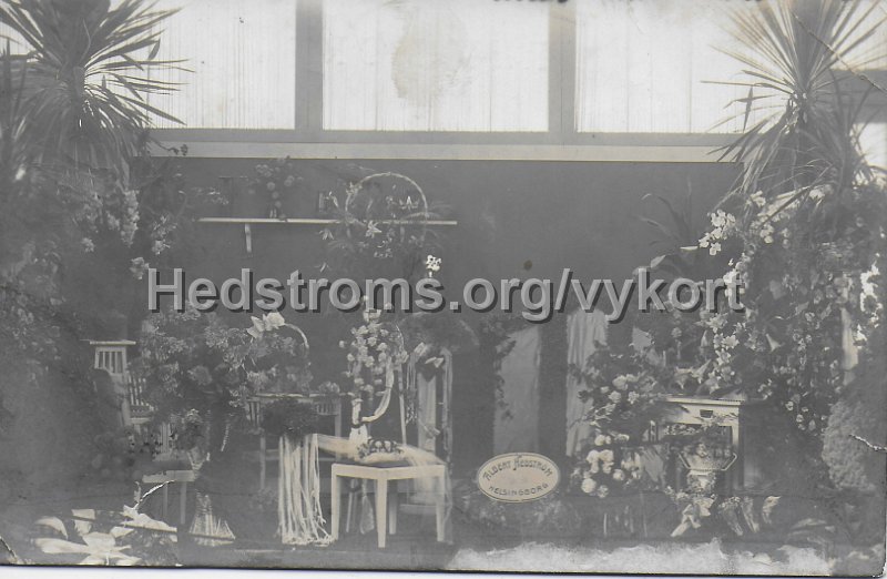 Albert Hedstrom. Fra Havebrugsudstillingen 1912. Kopenhamn. Postganget fran Sofieberg  28 februari 1915..jpeg - Albert Hedström. Helsingborg.Fra Havebrugsudstillingen 1912. Köpenhamn.Postgånget från Sofieberg 28 februari 1915.
