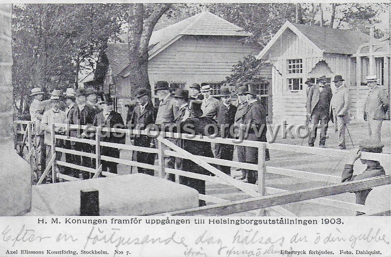 H.M. Konungen framfor uppgangen till Helsingborgsutstallningen 1903.  Postganget Axel Eliassons Konstforlag, Stockholm. No 7. Foto, Dahlquist.jpeg - H.M. Konungen framför uppgången till Helsingborgsutställningen 1903.Postgånget.Axel Eliassons Konstförlag, Stockholm. N:o 7.Foto. Dahlquist.
