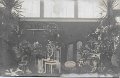 Albert Hedstrom. Fra Havebrugsudstillingen 1912. Kopenhamn. Postganget fran Sofieberg  28 februari 1915.