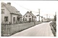 Parti av Kahog. Postganget 22 juli 1950. Svenska Pressbyran. 19533