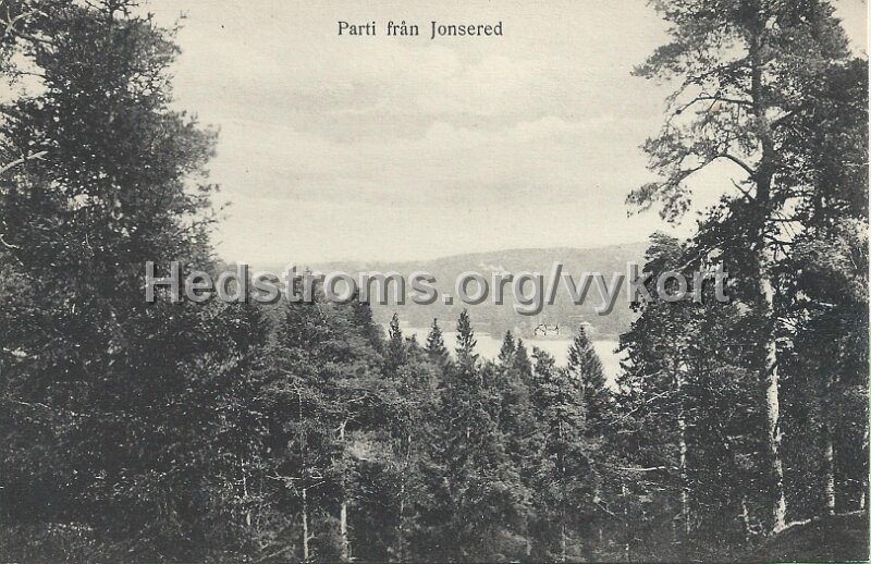 Parti fran Jonsered. Odaterat. Forlag Jonsereds Handelsbod.jpeg - Parti från Jonsered.Odaterat.Förlag: Jonsereds Handelsbod.