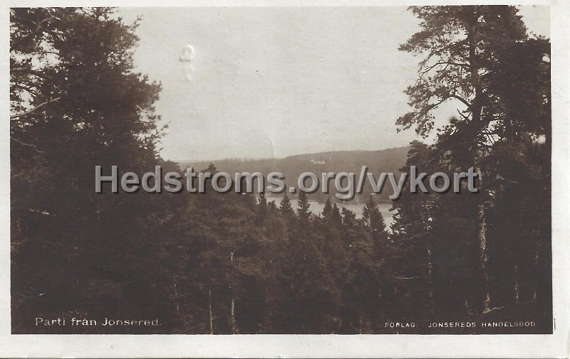 Parti fran Jonsered. Postganget 9 juli 1924.jpeg - Parti från Jonsered.Postgånget 9 juli 1924.Förlag: Jonsereds Handelsbod.